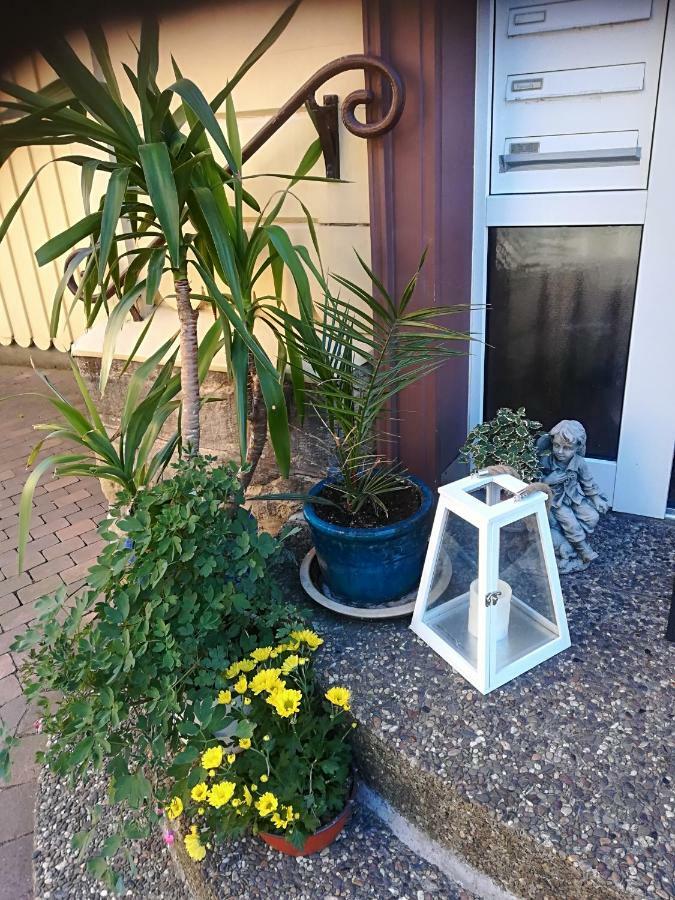 Ferienwohnung Zur Alten Post บาดกรุนด์ ภายนอก รูปภาพ